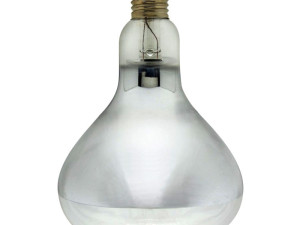 Lampa Transparent Sijalica 150W
