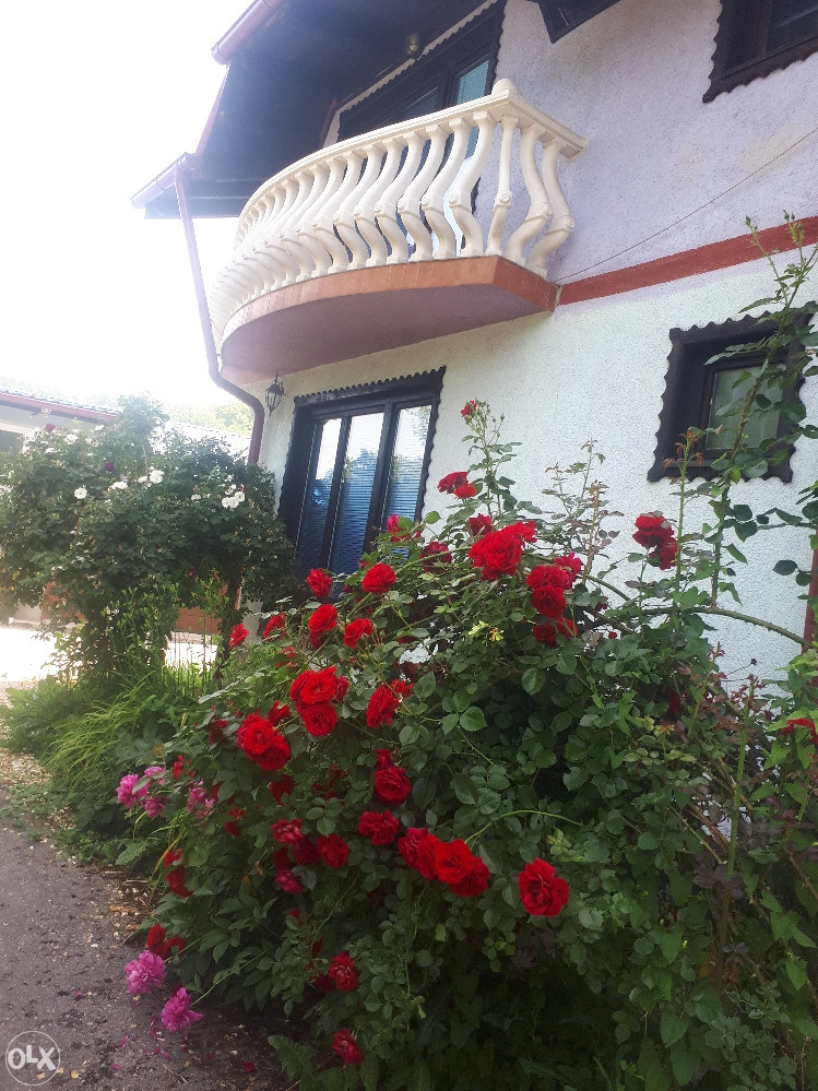 KUĆA ( vila)-Visoko 3