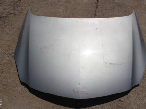 Hauba insignija Opel Insignia 2010 (fotografija 4)