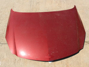 Hauba insignija Opel Insignia 2010 (fotografija 2)