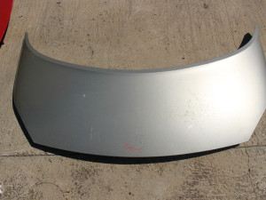 Hauba reno Renault Scenic 2005