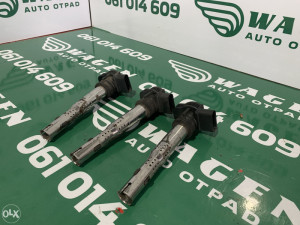 Bombina Audi