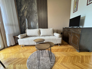IZDAJEM NAMJEŠTEN STAN 30m2, ul. Sremska