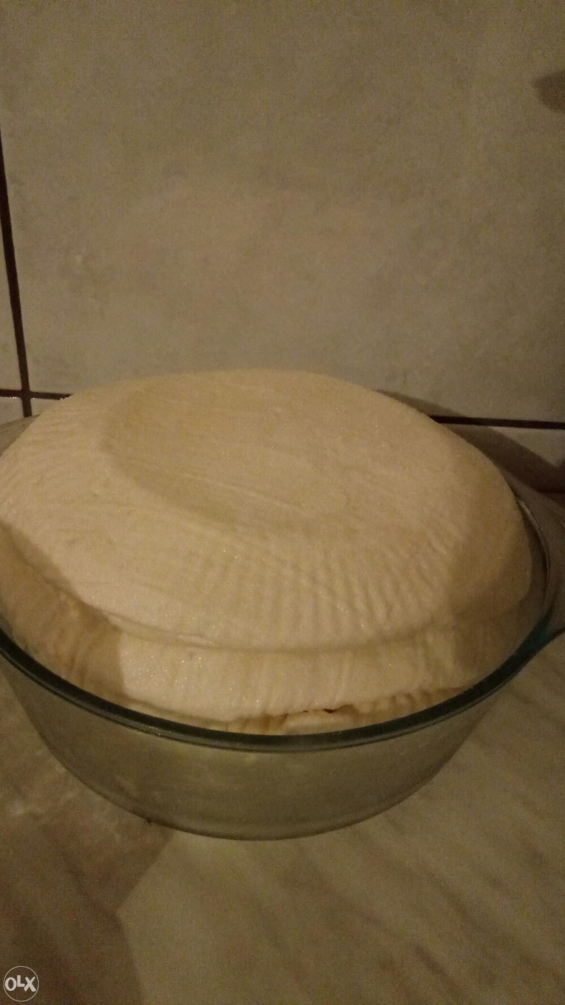 Koziji sir od 100 % kozijeg mlijeka bez dodataka
