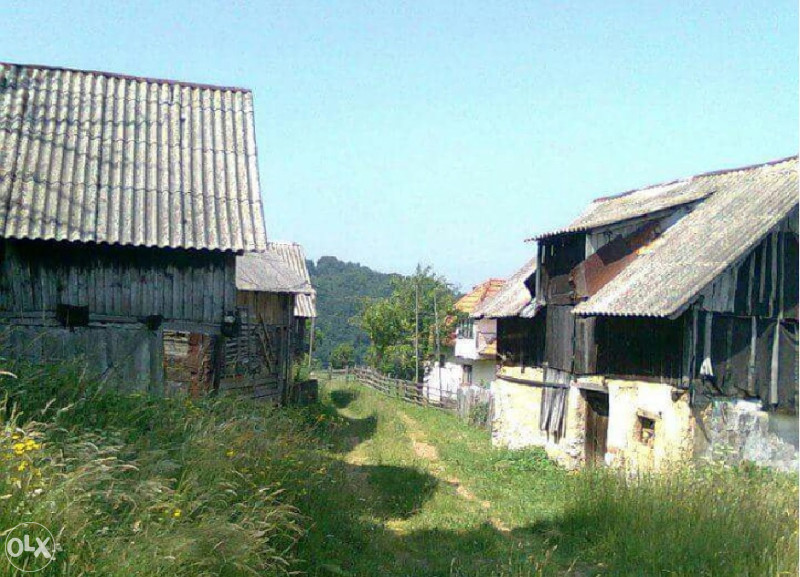 Imanje  Drazevici. 7