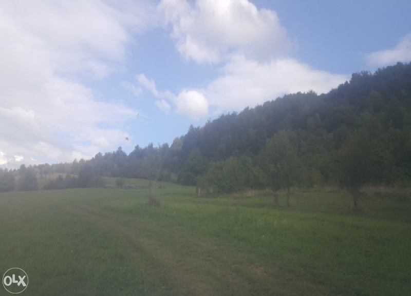 Imanje  Drazevici. 8