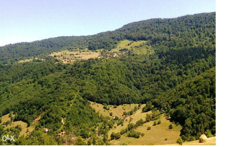 Imanje  Drazevici.