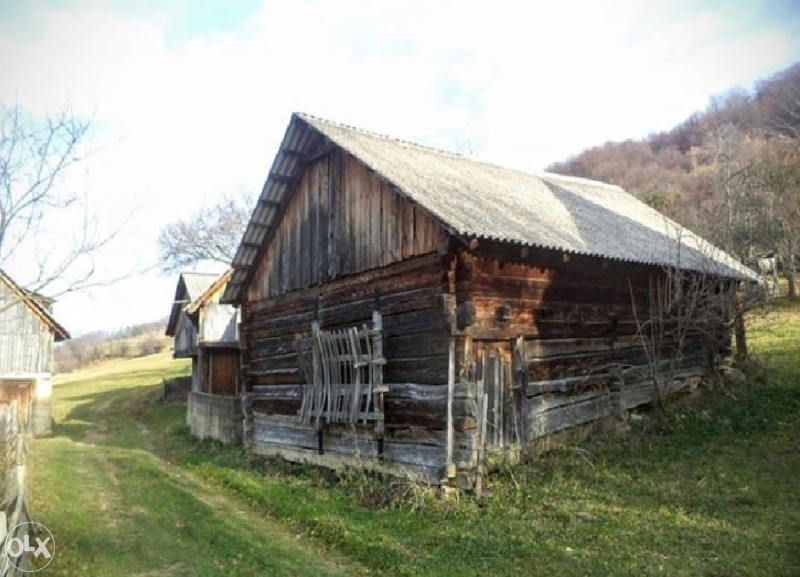 Imanje  Drazevici. 6