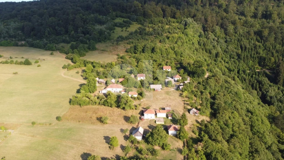 Imanje  Drazevici. 3