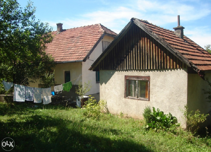 Imanje  Drazevici. 11