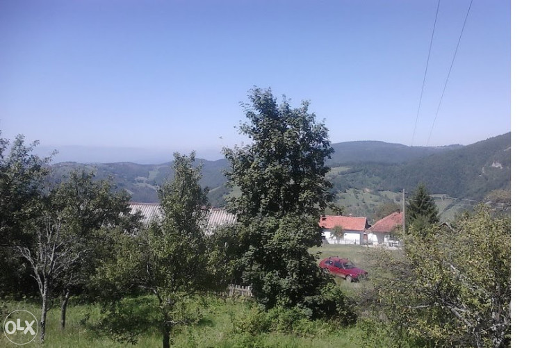 Imanje  Drazevici. 13