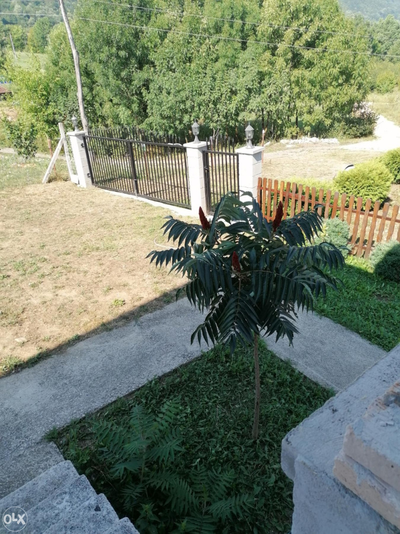 Kuća, Krupa na vrbasu 2