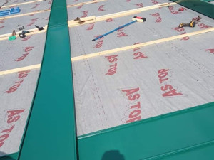 Falcani limovi pokrov (pokrivanje prodaja )