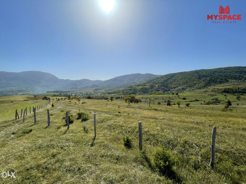 MY SPACE/ Zemljiste/ Dejcici/ 18500 m2 9