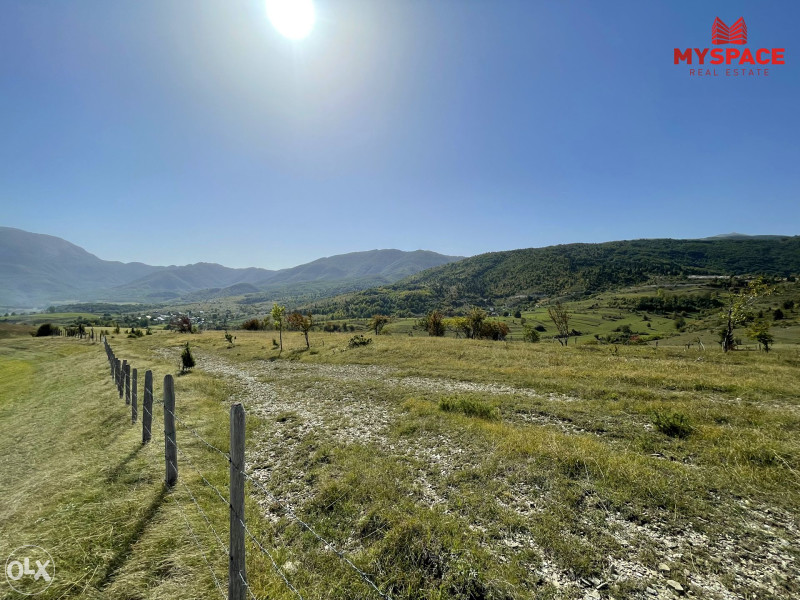 MY SPACE/ Zemljiste/ Dejcici/ 18500 m2 7