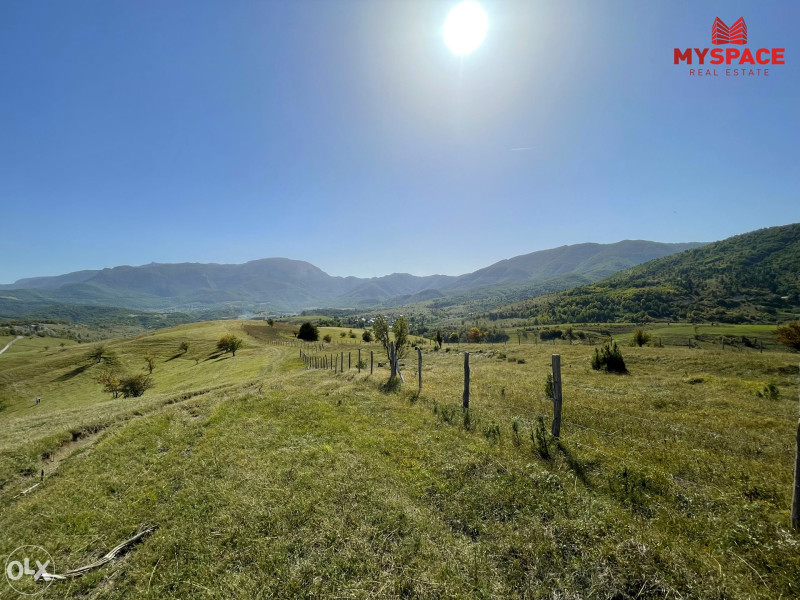 MY SPACE/ Zemljiste/ Dejcici/ 18500 m2 6