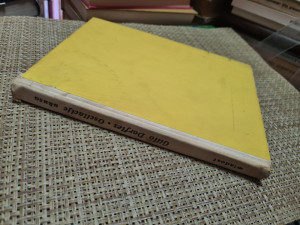 OSCILACIJE UKUSA I MODERNE UMJETNOSTI, Gillo Dorfles