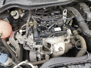 Ford fiesta 1.1 52KW motor 2019 VLATKO FORD