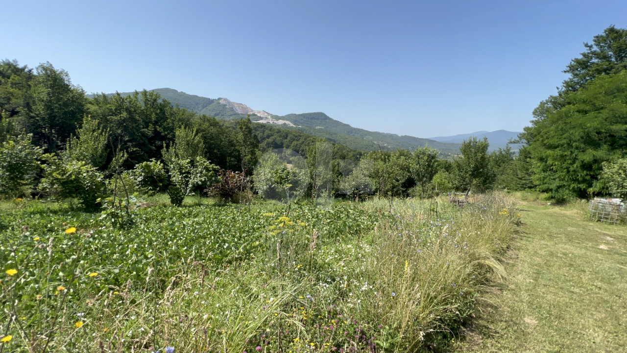 Kuća, zemljište 15 000 m2, Kobiljača, Gornji Azapovići 4