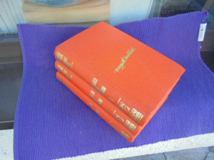 Mičel - Prohujalo sa vihorom