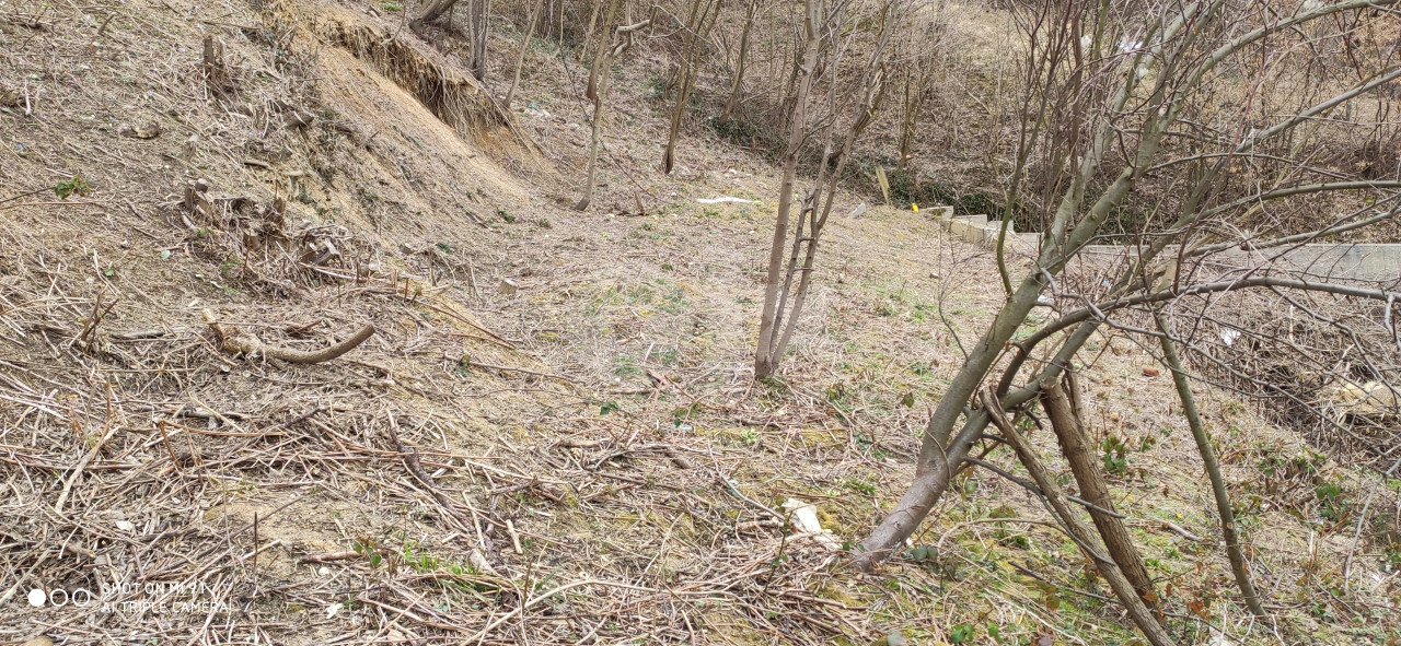 Zemljiste, plac dobrosevici 906 m2 7