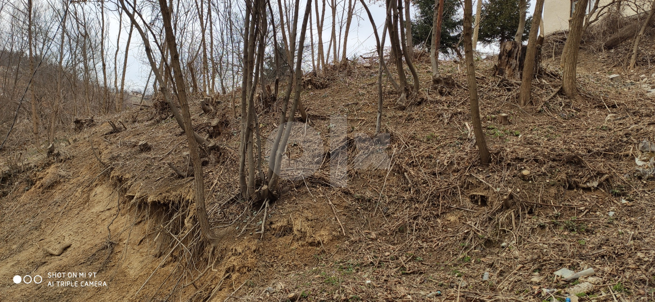 Zemljiste, plac dobrosevici 906 m2 11