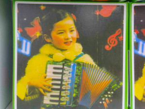 DJECIJA HARMONIKA ZA DJECU 066 494941