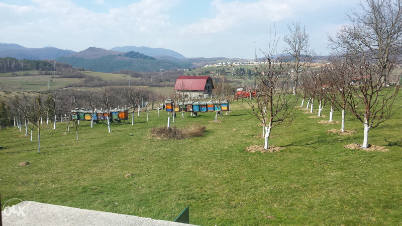 Prodajem kucu i zemljiste 3
