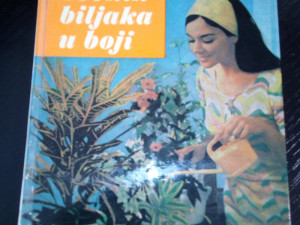 SOBNE BILJKE - 200 sobnih biljaka u boji , G. Kromdijk