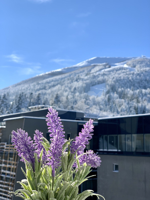 Bjelašnica apartman / Novogradnja / Garaža / Apartmani 6