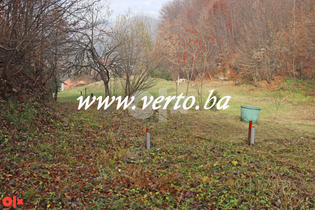 ZEMLJISTE, MOLUHE, TUZLA 4