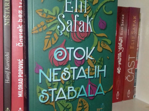 Otok nestalih stabala ELIF SAFAK Novo!