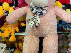 MEDO PLISANI MEDVJED 125CM PINK 066 494941