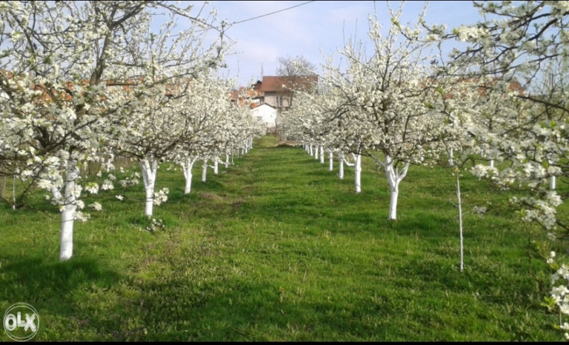 Kuća na prodaju, Priječani 3