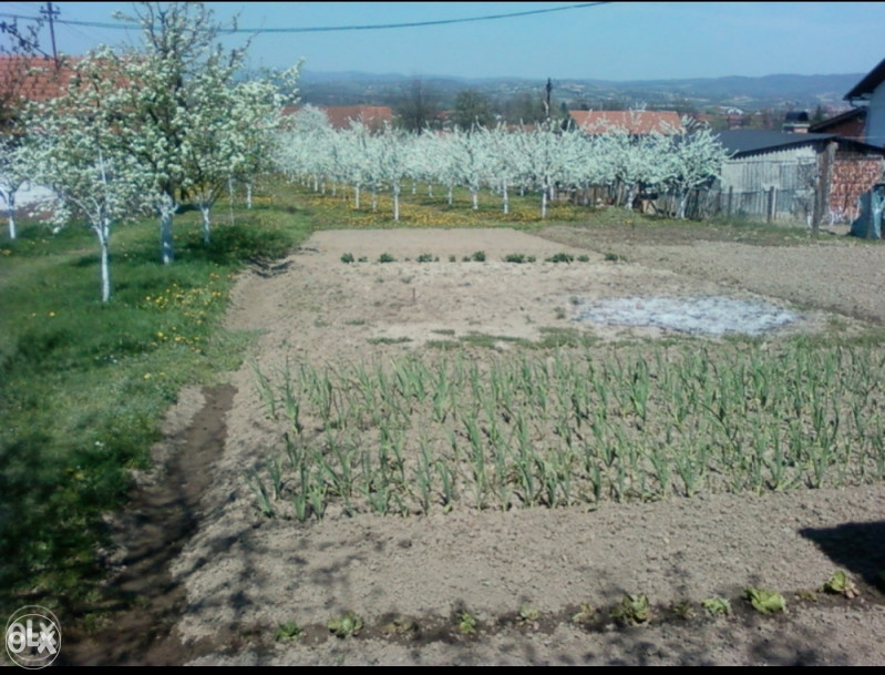 Kuća na prodaju, Priječani 5