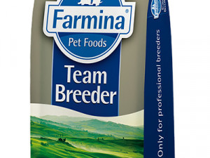 TEAM BREEDER BASIC JUNIOR 20 KG HRANA ZA PSE