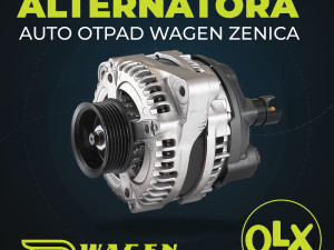 Alternator alternatori (fotografija 4)