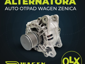 Alternator alternatori (fotografija 1)