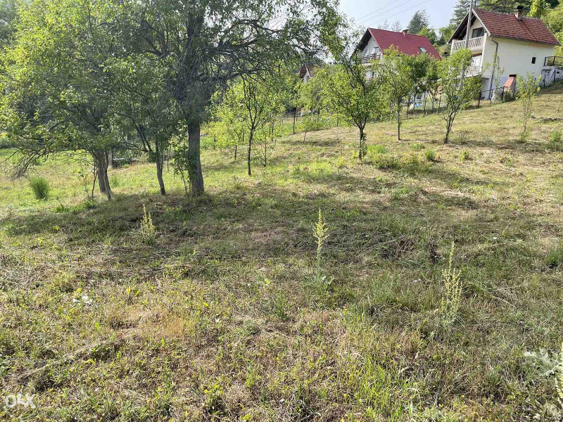 Zemljiste Kijevo 7