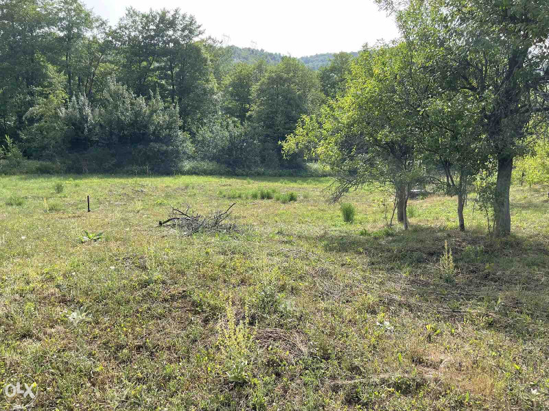 Zemljiste Kijevo 2