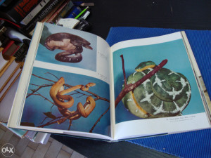 Ilustrovana enciklopedija životinjskog carstva / GMIZAVCI