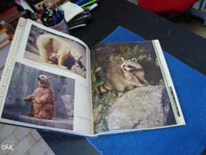 Ilustrovana enciklopedija životinjskog carstva,  Sisari