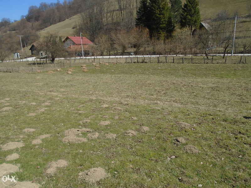 ZEMLJISTE 10,4 DULUMA TARCIN KORCA 3