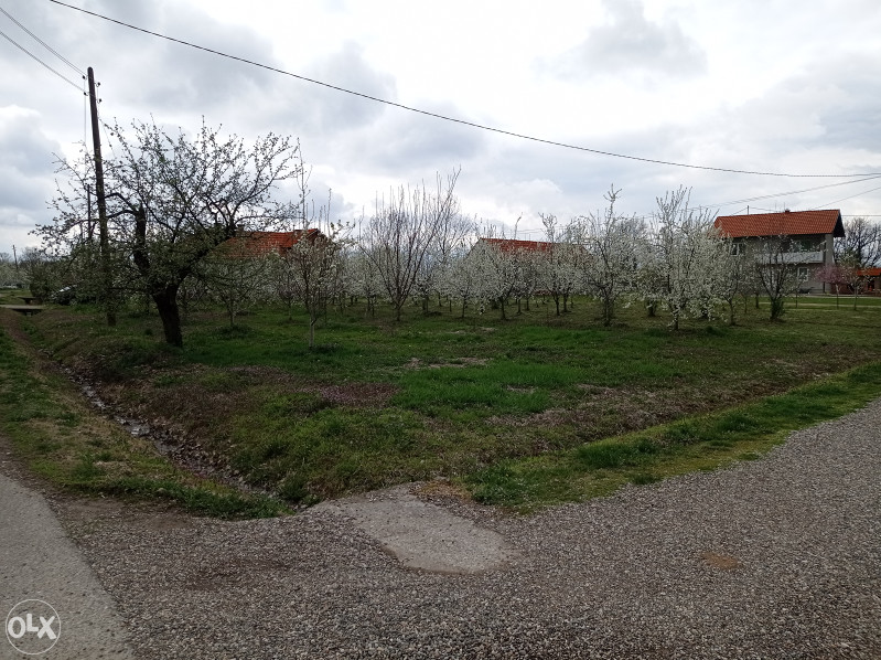 Voćnjak - Lipik, Srednja Čađavica, Bijeljina 3