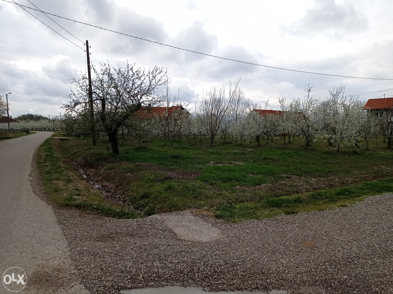 Voćnjak - Lipik, Srednja Čađavica, Bijeljina 4
