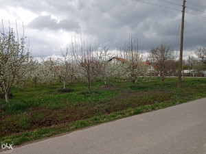 Zemljište, 1200 m², Bijeljina