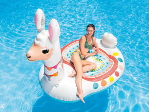 Dusek Intex Mega Llama