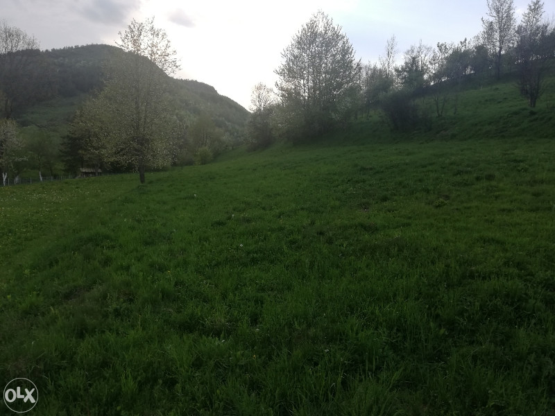 Zemljište Trnovo FBiH(Godinja)