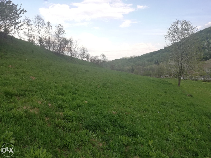 Zemljište Trnovo FBiH(Godinja) - Visning 6