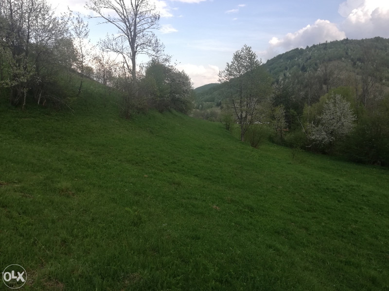 Zemljište Trnovo FBiH(Godinja) - Visning 5
